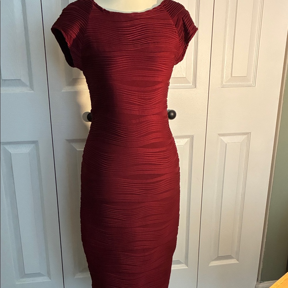 Elegant Red Textured Dress